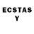 Ecstasy таблы Brent Loring