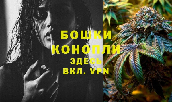 PSILOCYBIN Арсеньев