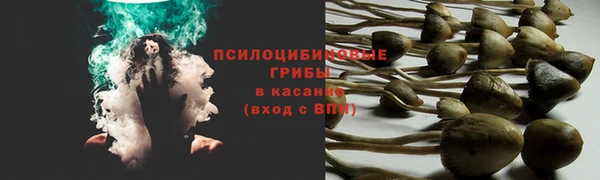 PSILOCYBIN Арсеньев