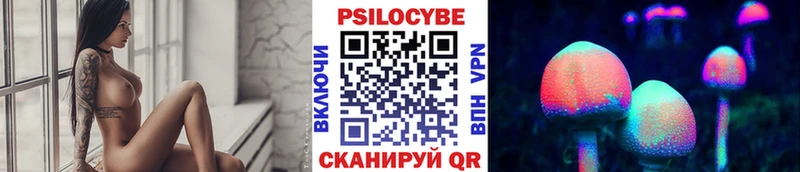 купить закладку  Петропавловск-Камчатский  Псилоцибиновые грибы прущие грибы 