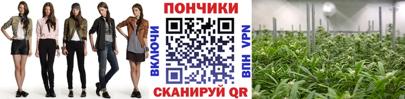 Каннабис VHQ Петропавловск-Камчатский